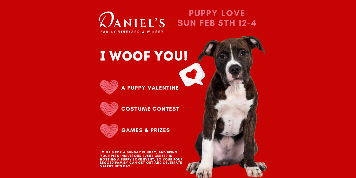 Puppy Love: Sunday Funday and Daniel's Vineyard promotional image