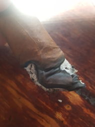 Cigar Session Photo