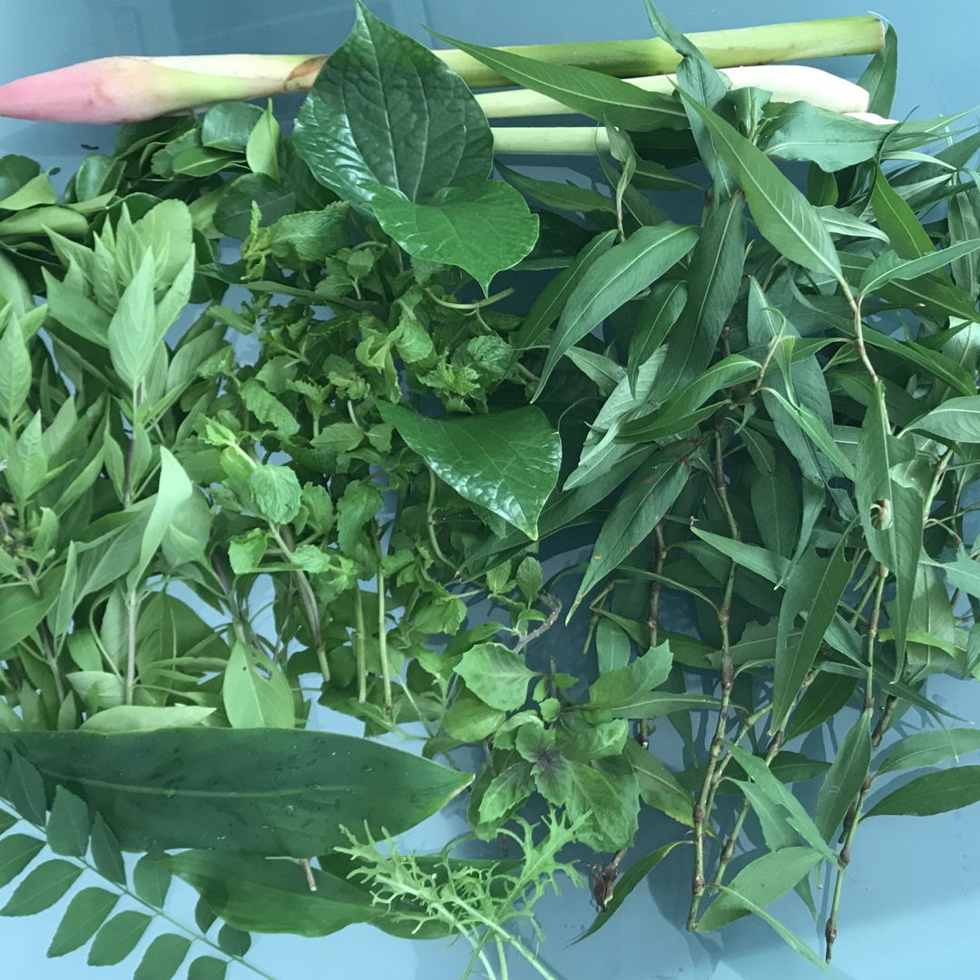 Herbs that went into my Nasi ulam. Lots of work slicing !