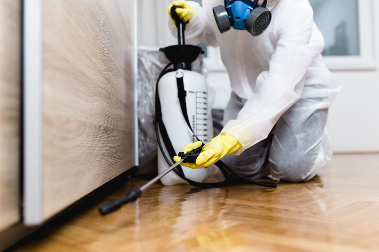 A person wearing protective gear and a respirator kneels on the floor, using a pesticide sprayer near a wooden cabinet. They wear a white suit and yellow gloves. The setting appears to be indoors with a focus on pest control.