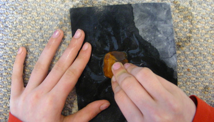 nkm niebuell bernstein