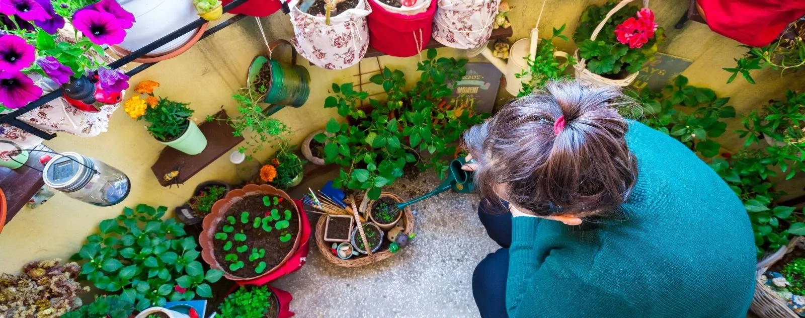 Vue aérienne d'une femme soignant des plantes dans un petit jardin de balcon urbain, espace de détente et culture de plantes détoxifiantes.