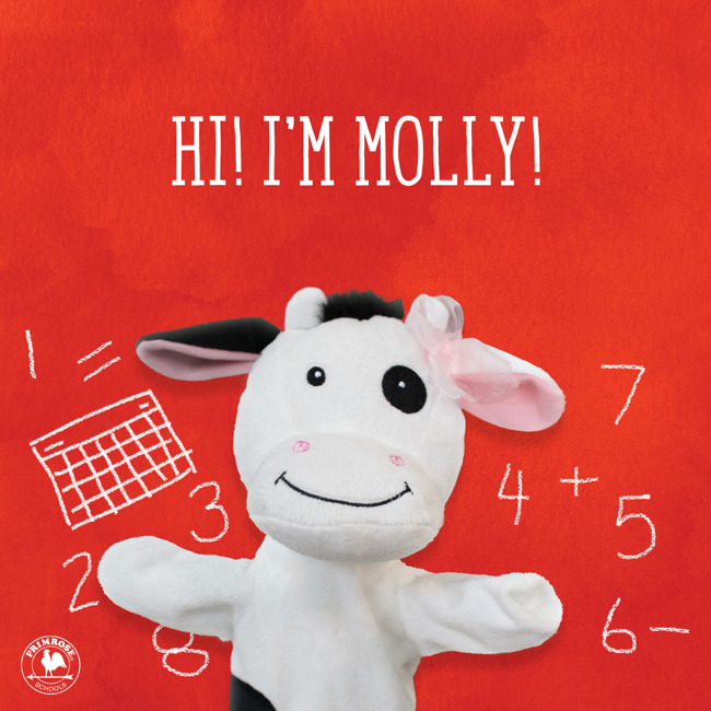 Primrose Friend Molly the Cow