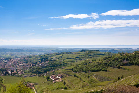 Amarone Wine Tour & Tasting from Venice