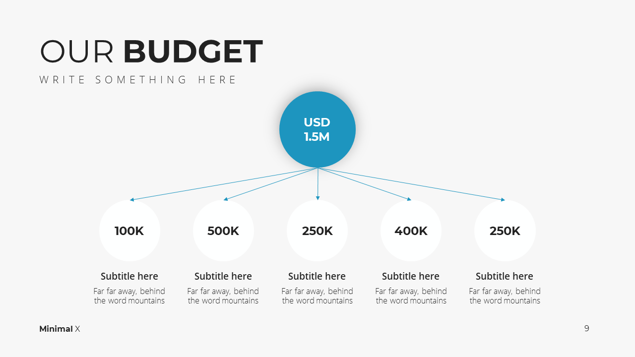Minimal X Project Proposal Presentation Template Budget Overview