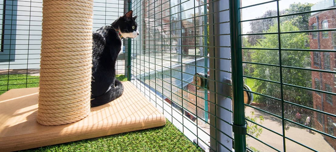 Cat fencing sales for balcony