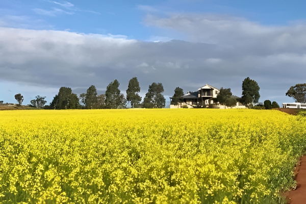 Mountain Park Retreat Voucher - Image 9