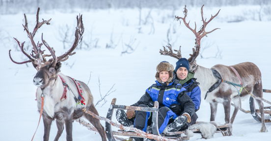 Reindeer Sledding