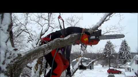 Best chainsaw for deals climbing