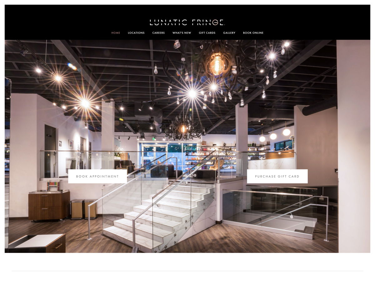 Screenshot of Lunatic Fringe, from the salon websites collection.
