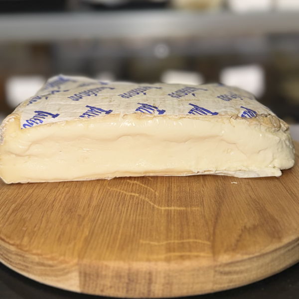 taleggio