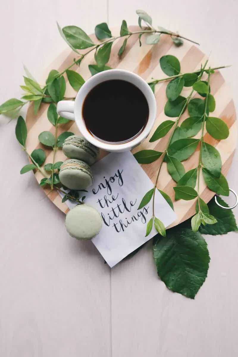 Gratitude Through the Tough Times