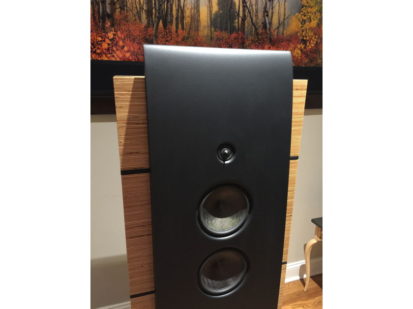 Magico M5 World Class Speakers. PRICED TO SELL - Relocating overseas.