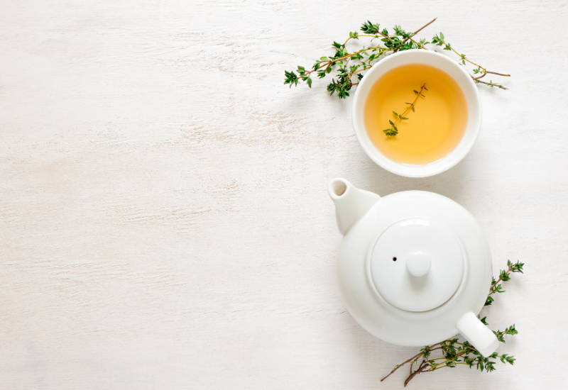 ウラジロガシ 茶とは