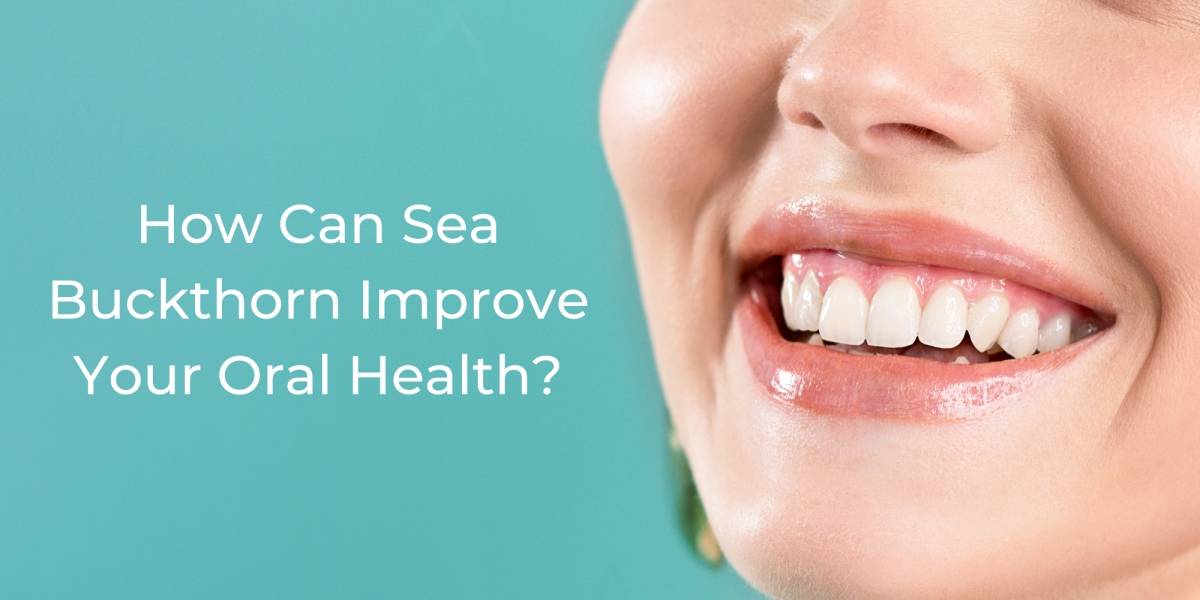 sea buckthorn for oral health gum inflammation