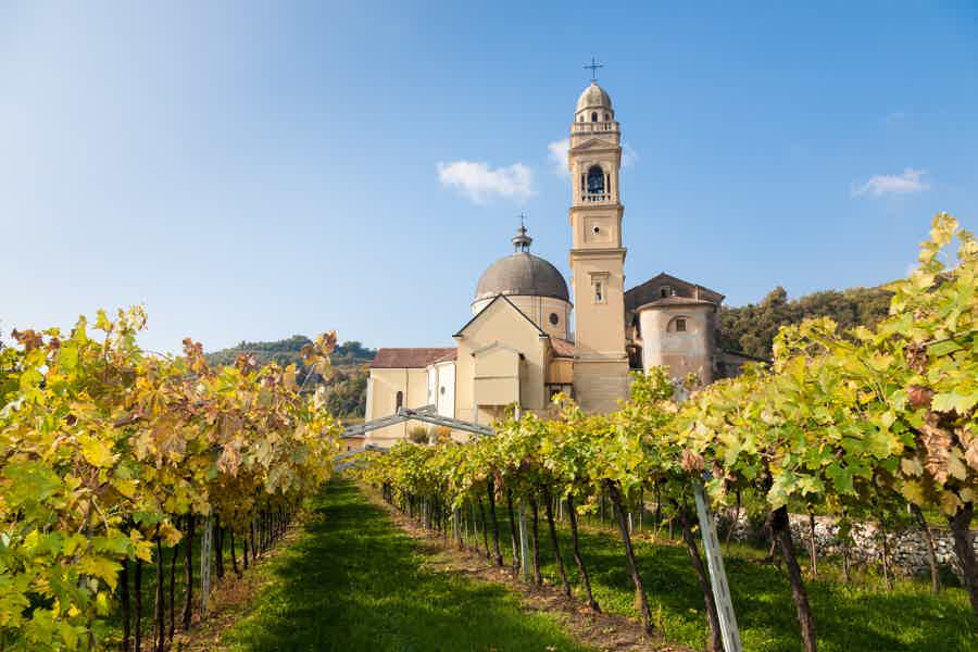 Amarone Wine Tour & Tasting from Venice - photo 5