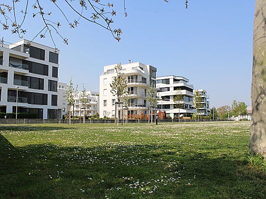  Ludwigshafen
- Aktuelle-Entwicklung-des-Immobilienmarktes-in-Ludwigshafen2.JPG