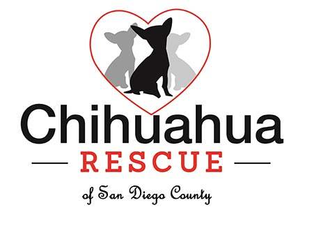 chihuahua rescue of san diego county.jpg