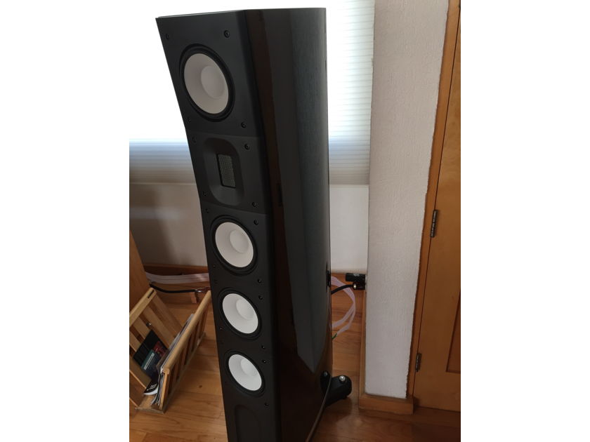 Raidho Acoustics APS C3.1 Raidho C3.1 three-Way Floor Standing Speaker