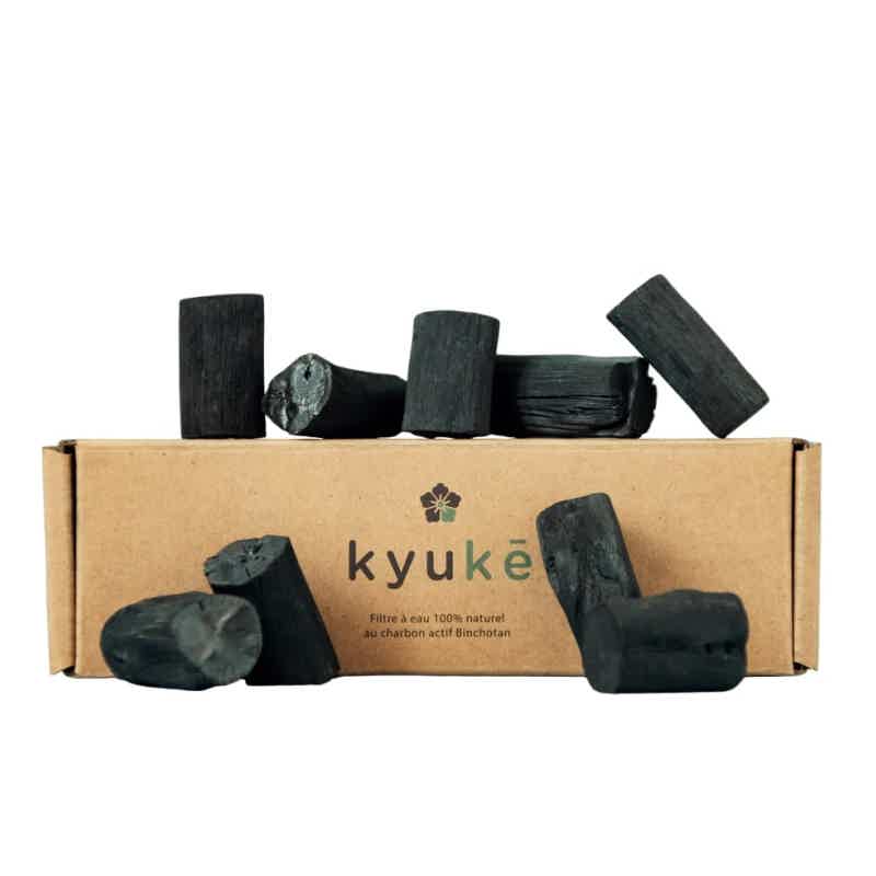 Lot de petits morceaux de charbon Binchotan par Kyuké