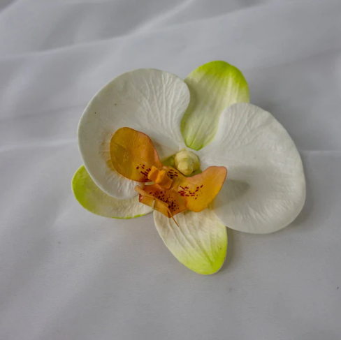 Light Pink Phalaenopsis Flowerhead (6 Pack) - Realistic Artificial Flowers - Image 2