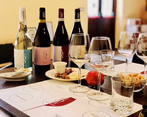 Food & Wine Tours Passerano Marmorito: Asti: Vineyard tour with wine and product tasting
