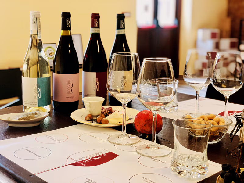 Food & Wine Tours Albugnano: Asti: Vineyard tour with wine and product tasting