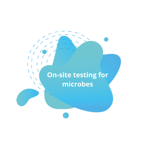 On-site testing for microbes