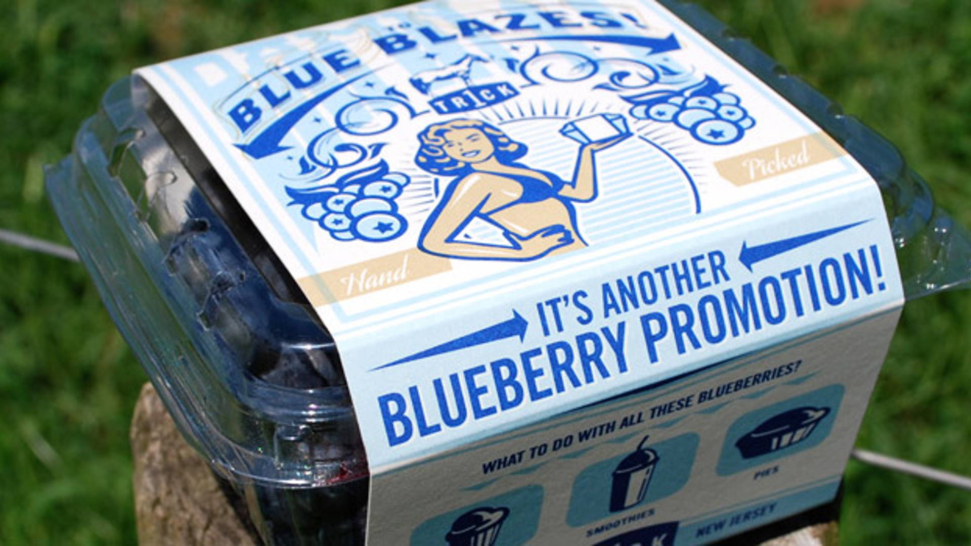 Featured image for Blueberry Promotion
