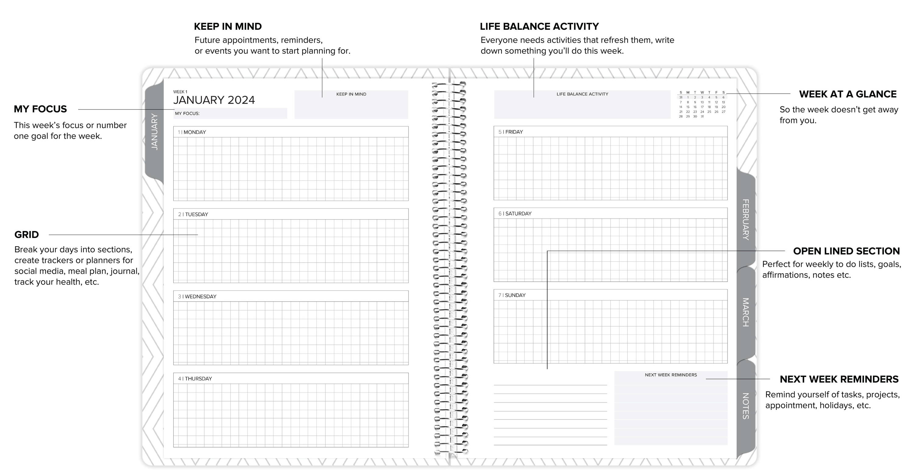 amplify planner weekly layout