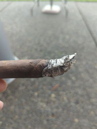 Cigar Session Photo