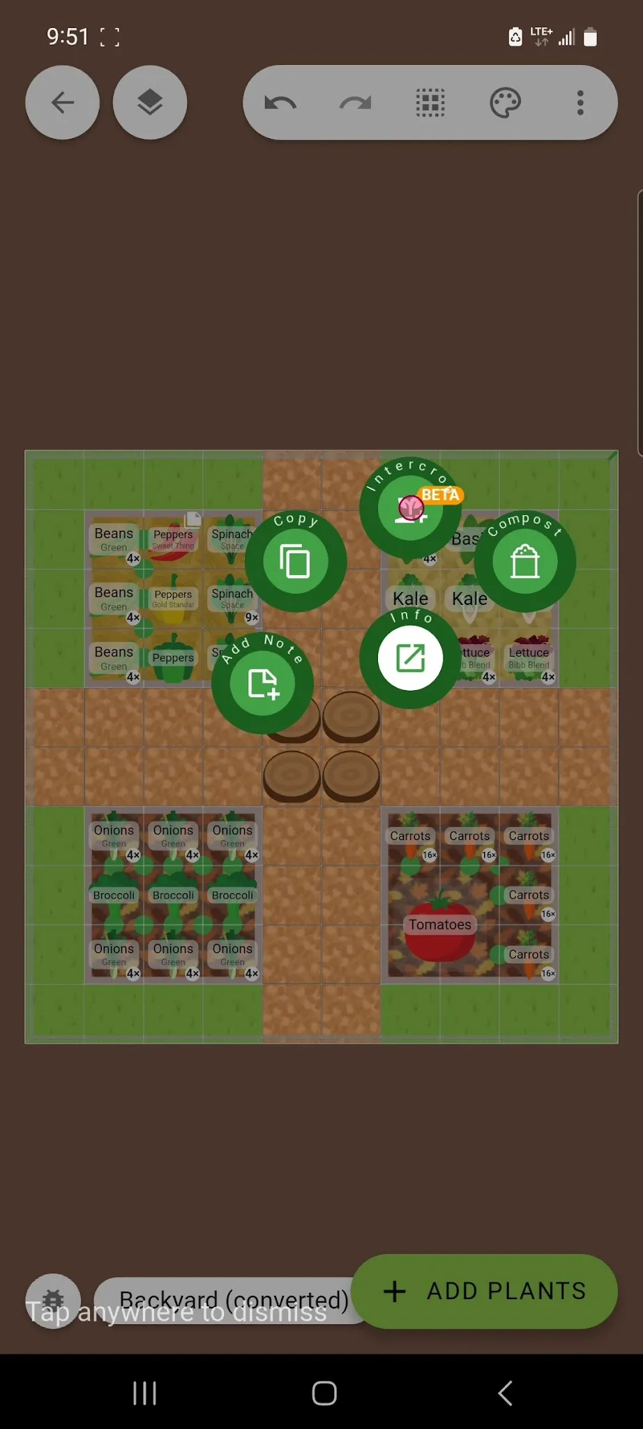 Choose Intercrop Option