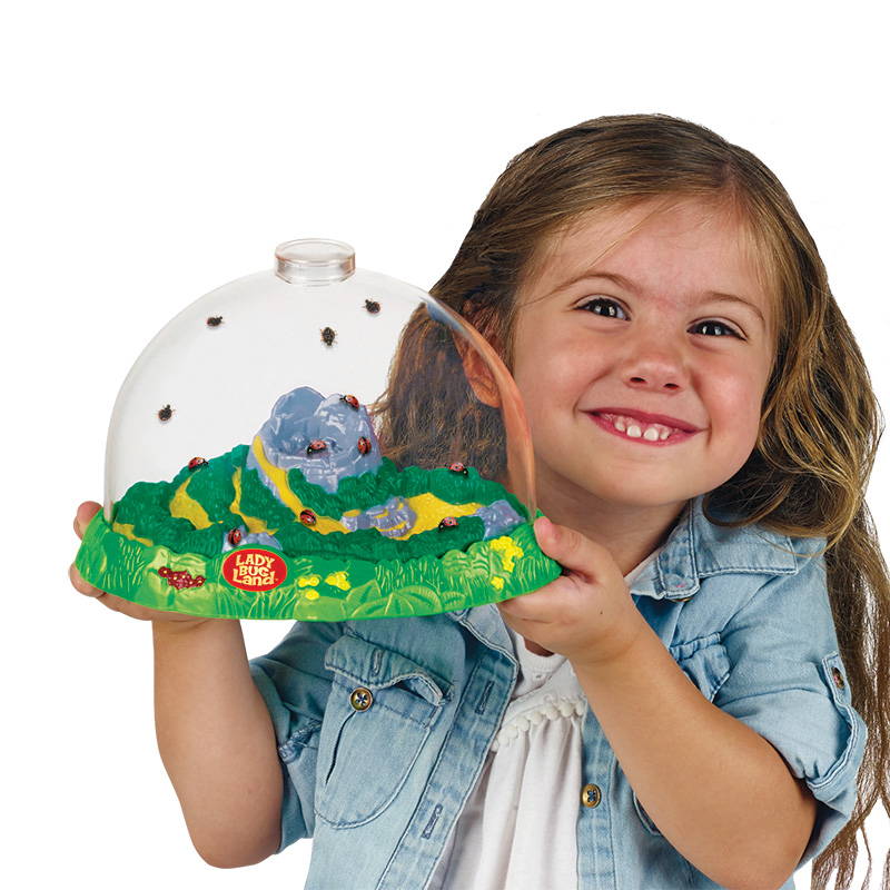 Insect Lore Live Butterfly Garden Science Educational Toy Kit for sale online