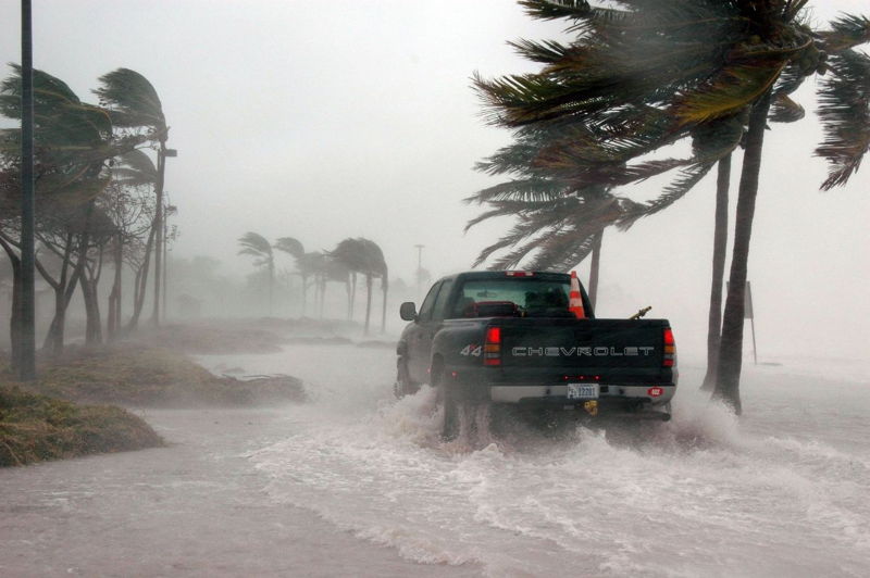 featured image for story, Hurricans in Florida how to protect your property