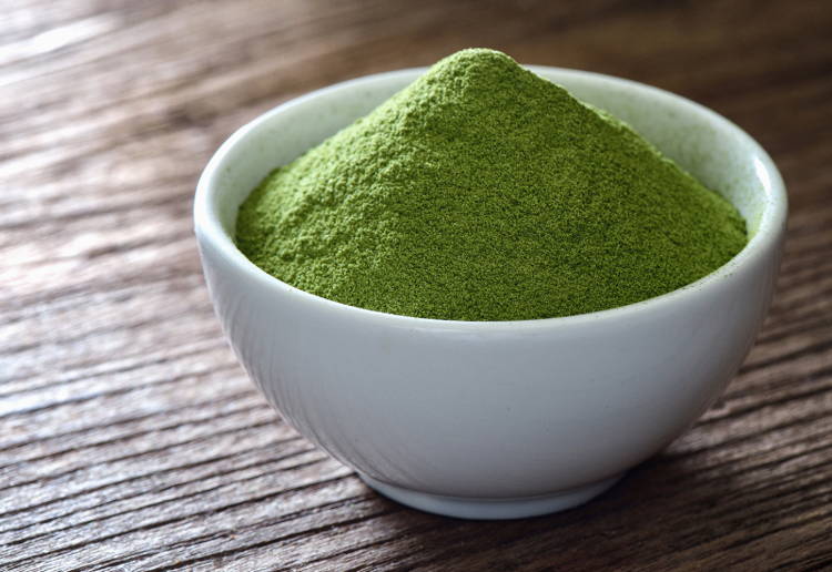 粉末緑茶ライン