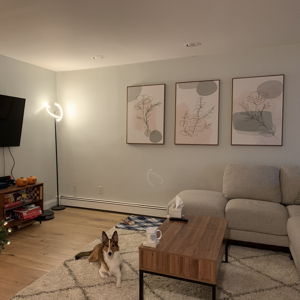 Home Upgrades & Renovation Fund