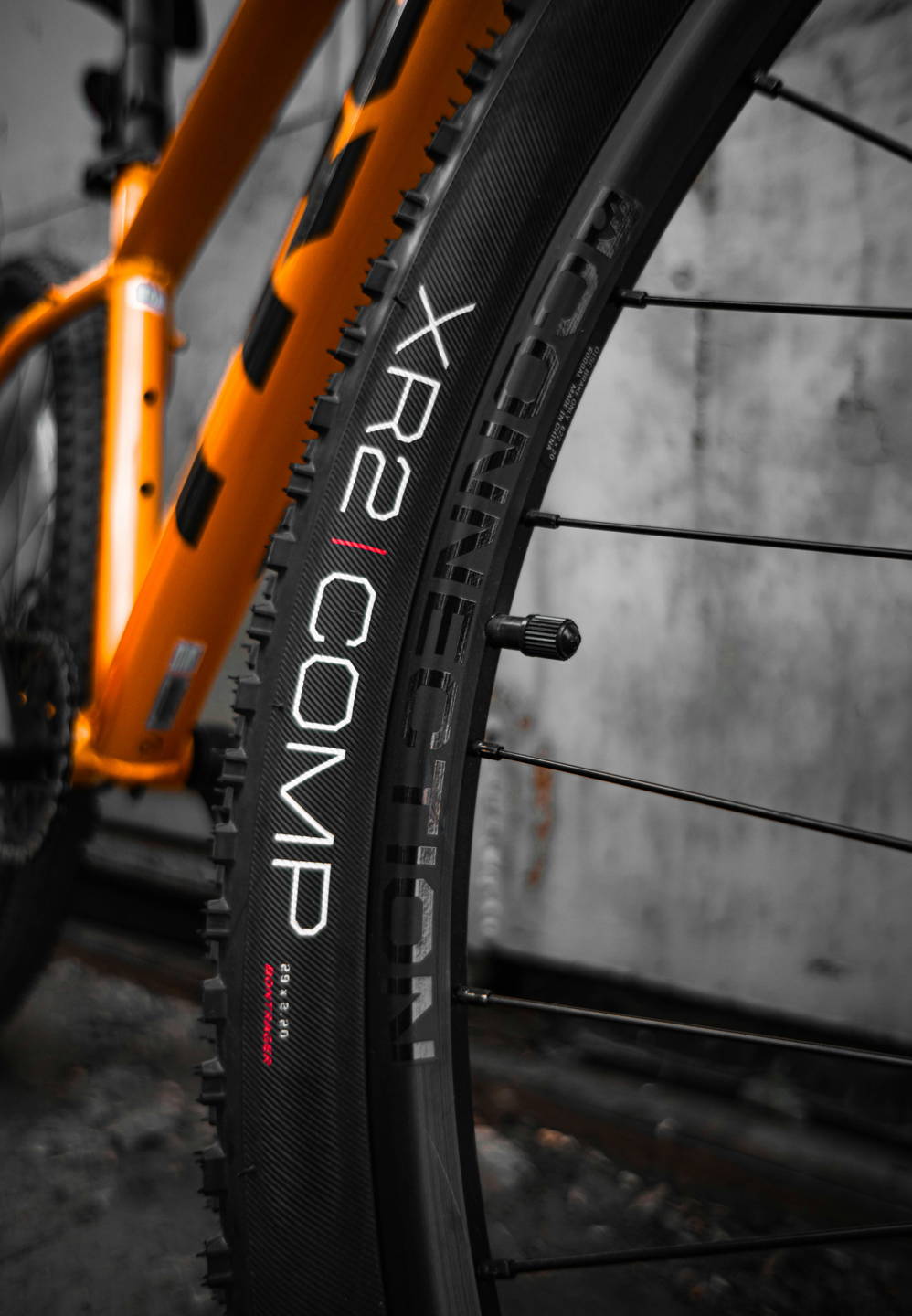 mountain bike elettrica