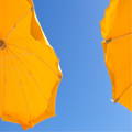 sun umbrellas on the blue sky