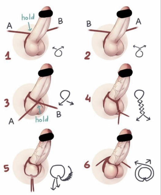 Balls separator for cock and ball bondage ties