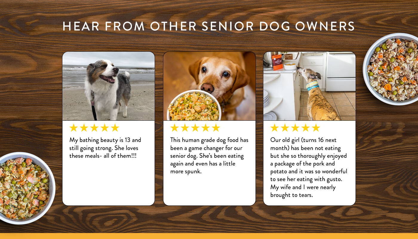 Reviews from senior dogs who loved Portland Pet Food dog food meals and mixers.