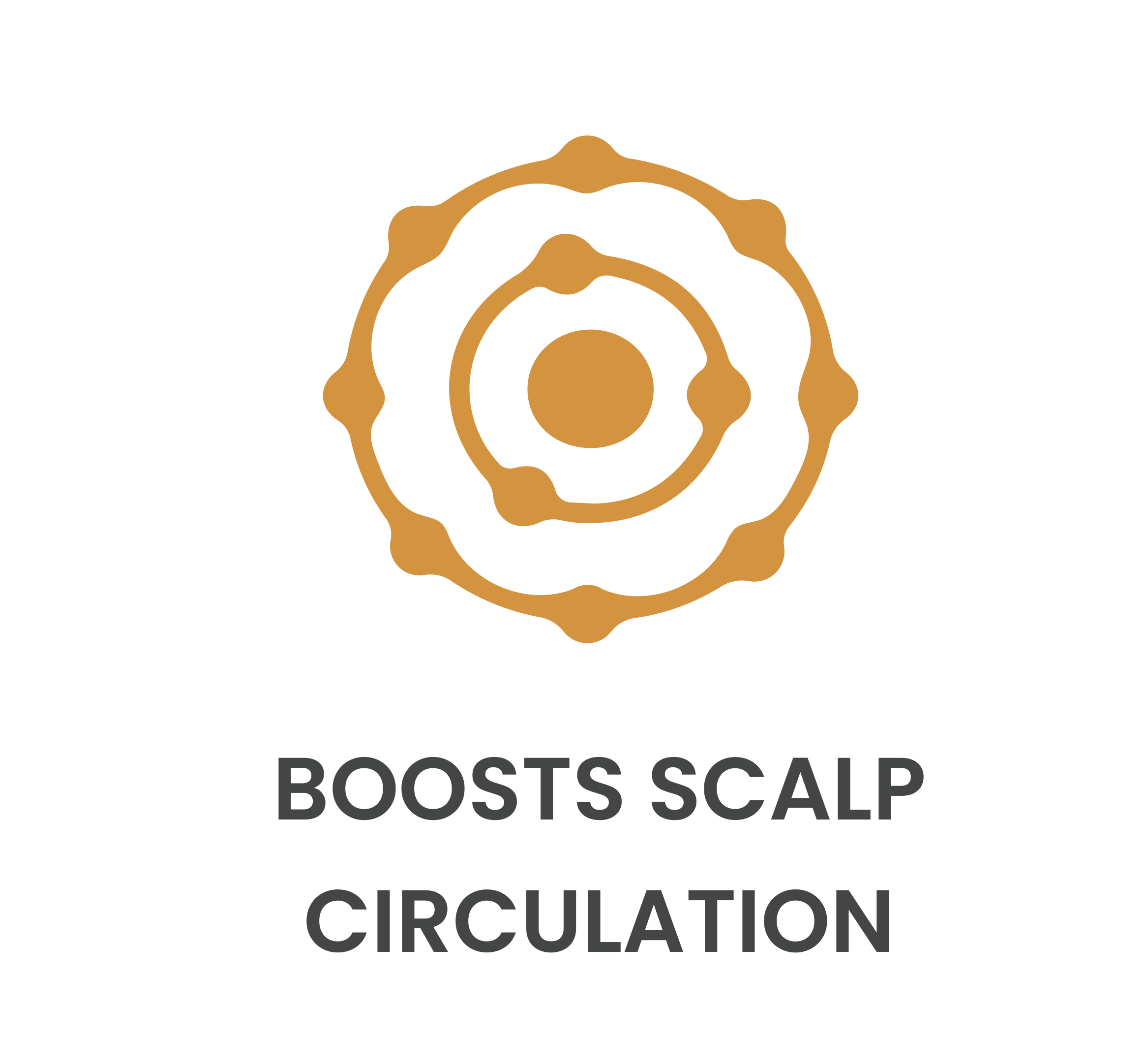 Boosts Scalp Circulation