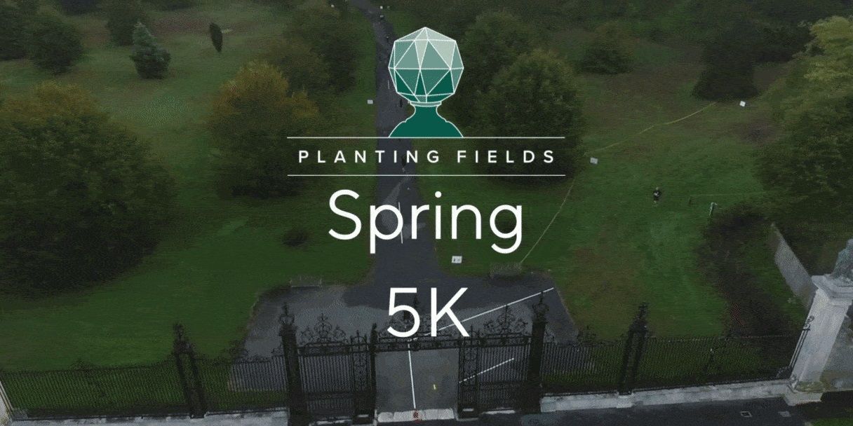 Planting Fields Spring 5K promotional image