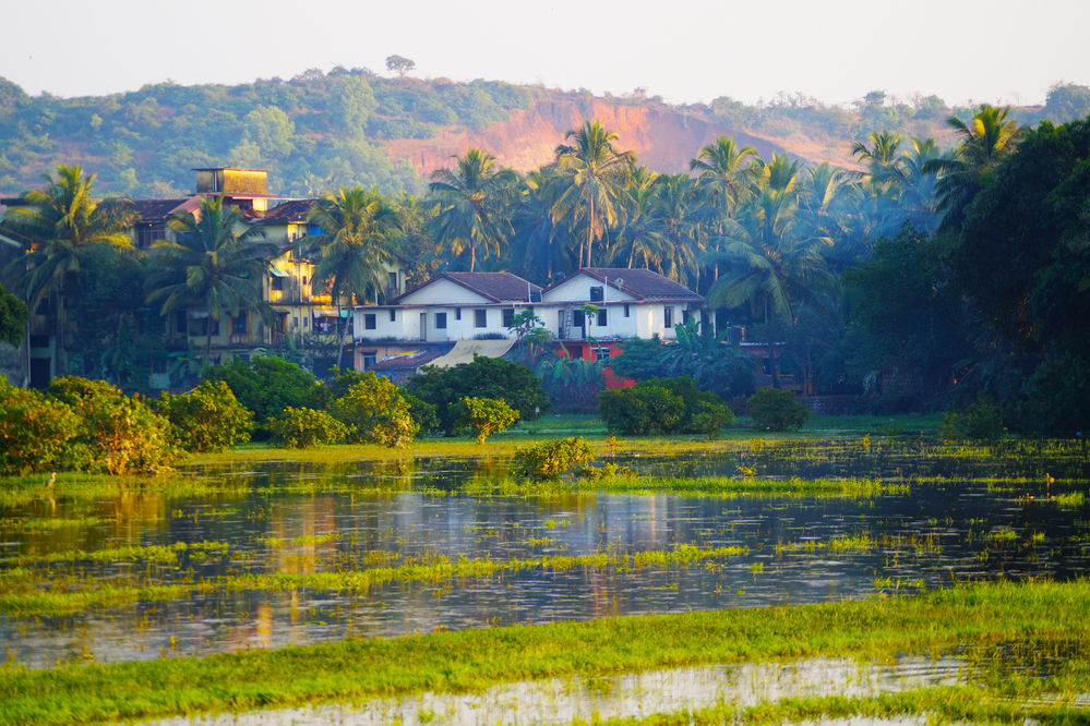 Image result for goa india