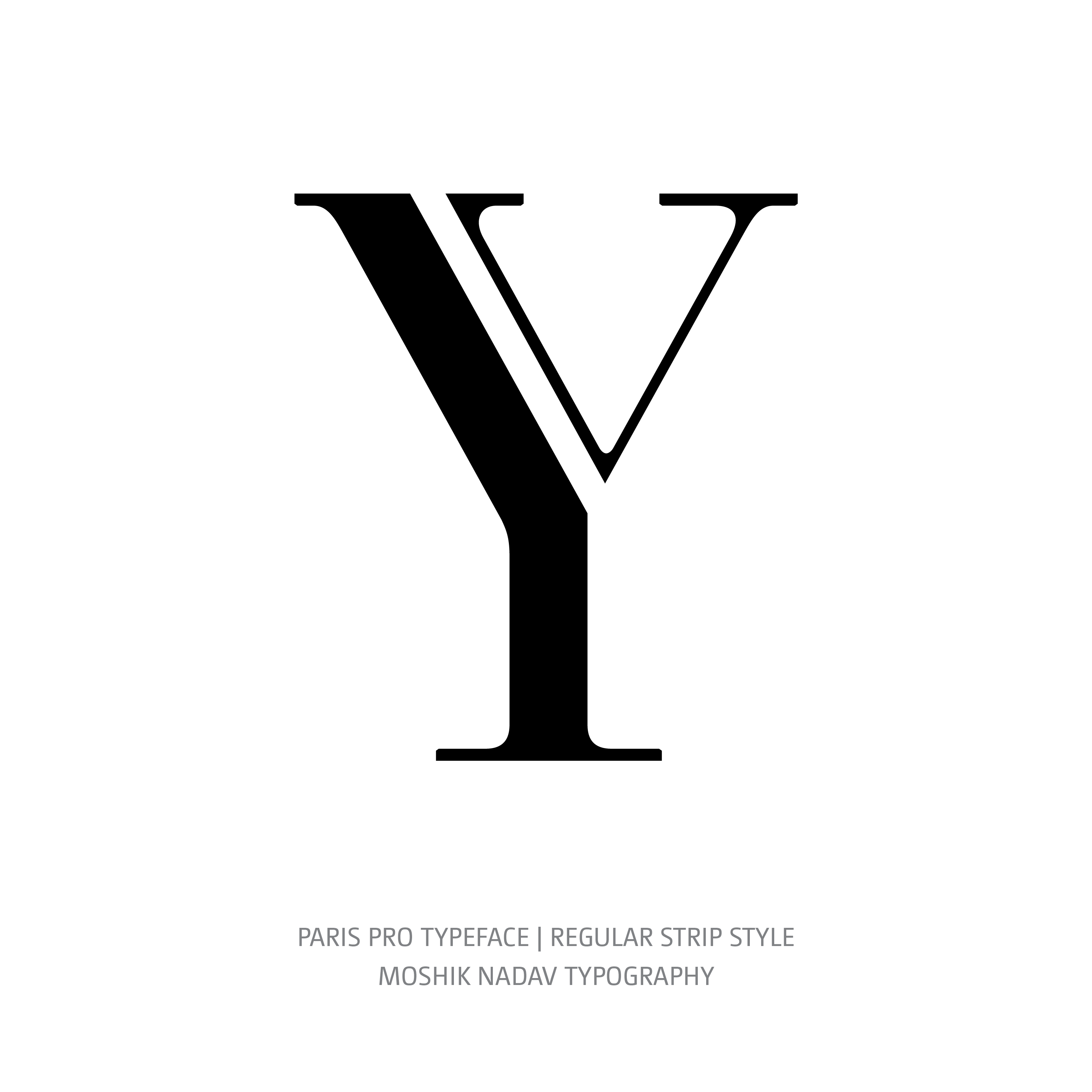 Paris Pro Typeface Regular Strip Y