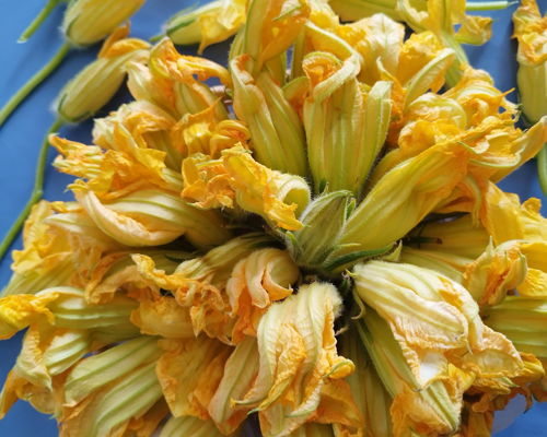Cooking classes Palermo: Traditional recipes
