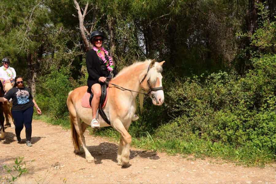 Horse Safari and Family Activity Park Entry in Side - photo 4