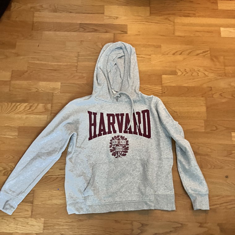 Harvard H&M Hoodie