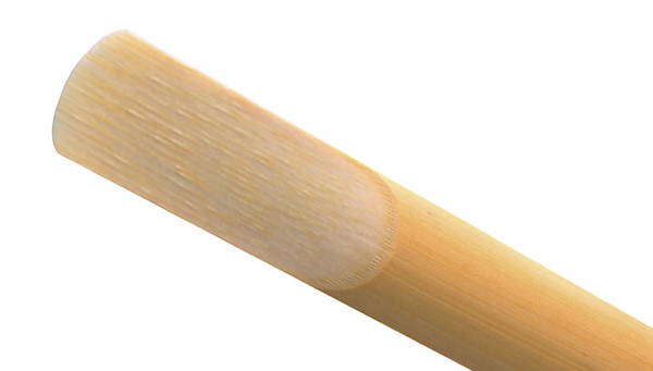 Clarinet and saxophone reeds laid out on a surface