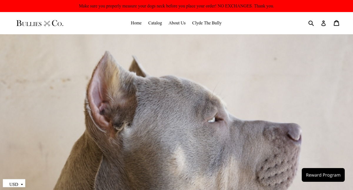 Screenshot of Bullies and Co., from the shopify stores collection.