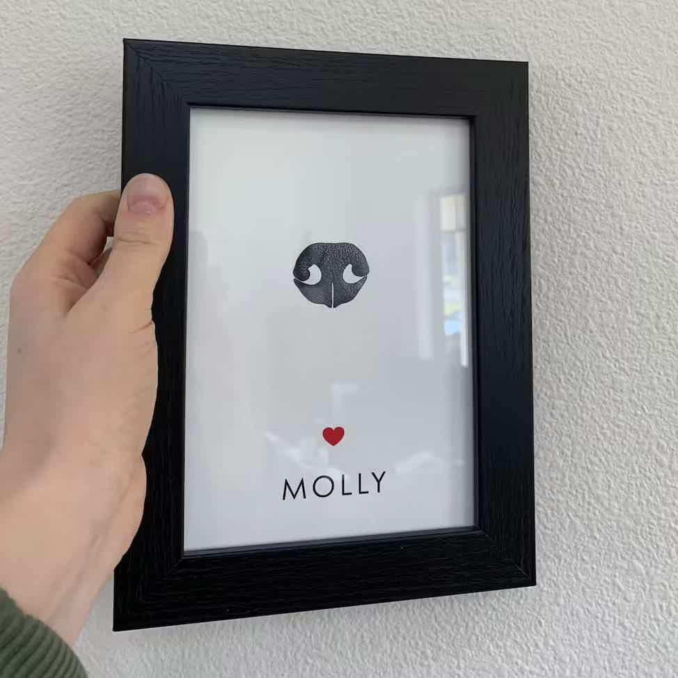 Hand holding dog nose print in black frame